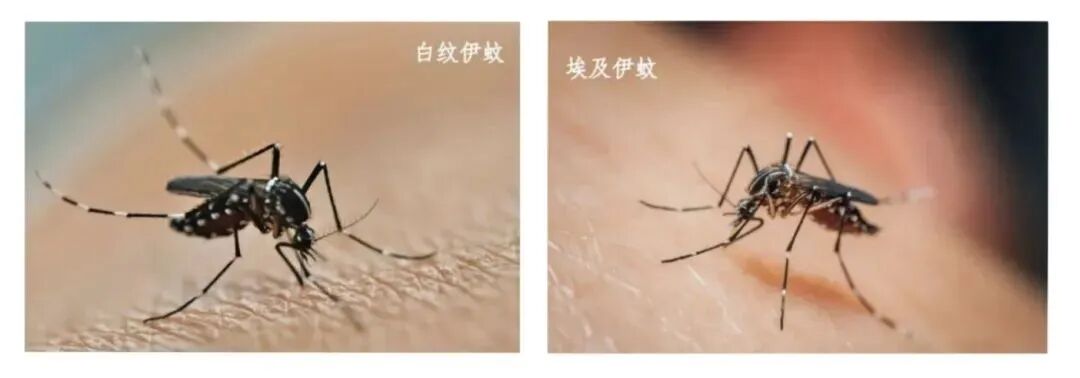 微信图片_2025-09-05_084651_923.jpg 微信图片_2025-09-05_084651_923.jpg