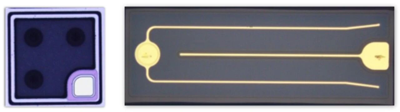 微信图片_2025-09-05_085058_608.jpg 微信图片_2025-09-05_085058_608.jpg